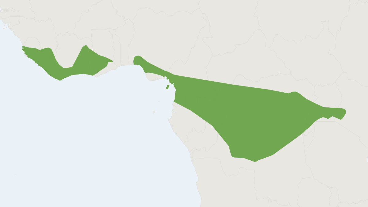 Range map of the Railer Bat (Mops thersites)