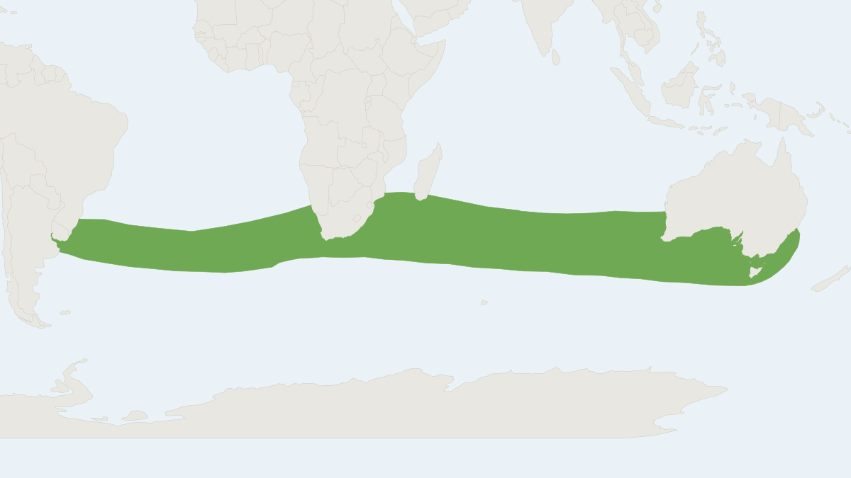 Range map of the Ramari's Beaked Whale (Mesoplodon eueu)
