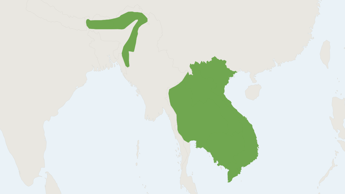 Range map of the Ratanaworabhan's Fruit Bat (Megaerops niphanae)