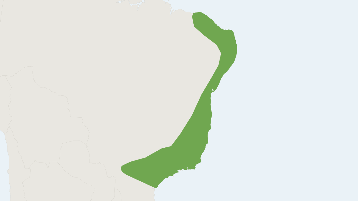 Range map of the Recife Broad-nosed Bat (Platyrrhinus recifinus)