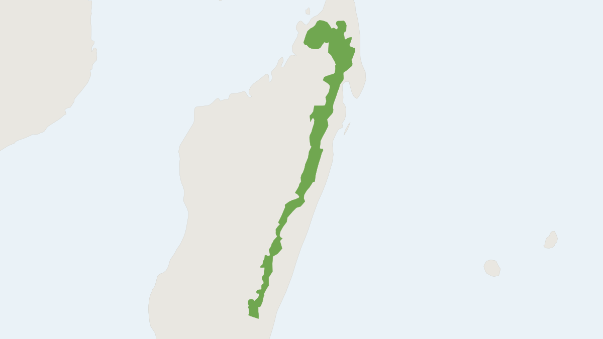 Range map of the Red-bellied Lemur (Eulemur rubriventer)