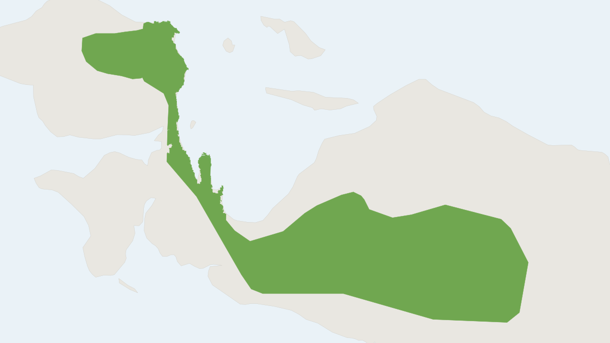 Range map of the Red-bellied Phascogale (Phascolosorex doriae)