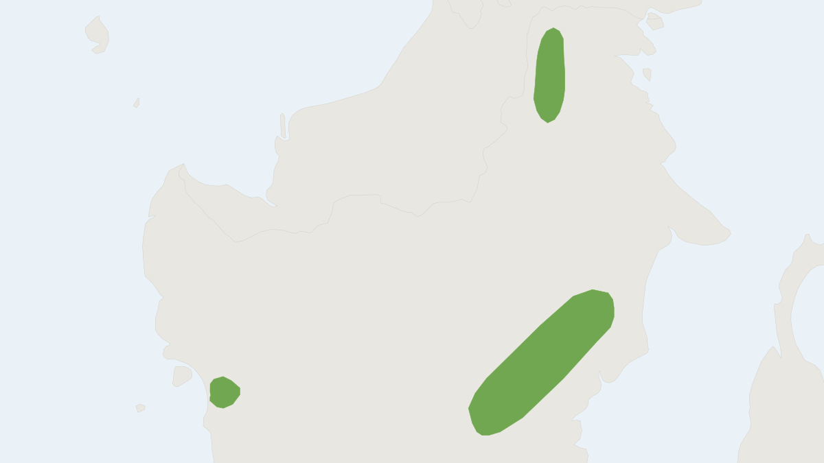 Range map of the Red-brown Pipistrelle (Hypsugo kitcheneri)