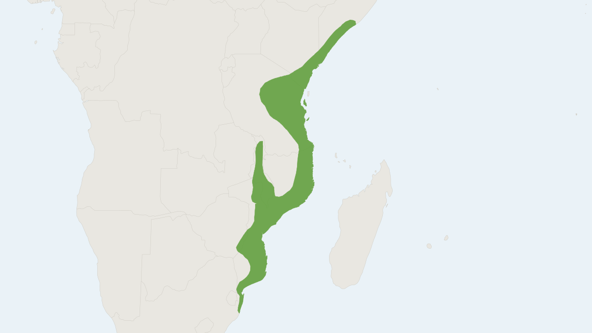 Range map of the Red Bush Squirrel (Paraxerus palliatus)