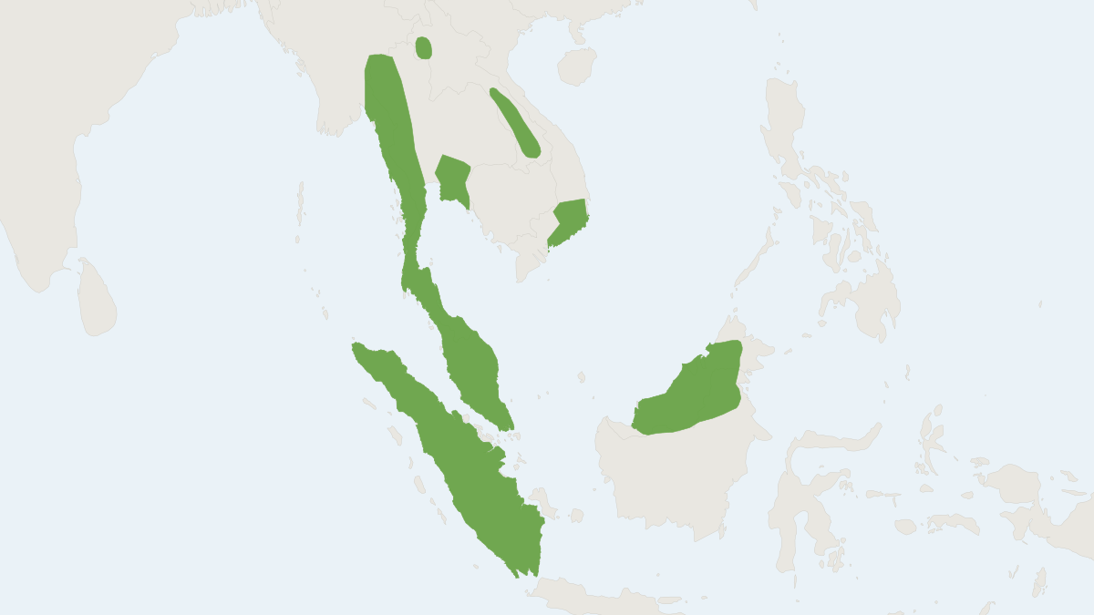 Range map of the Red-cheeked Flying Squirrel (Hylopetes spadiceus)