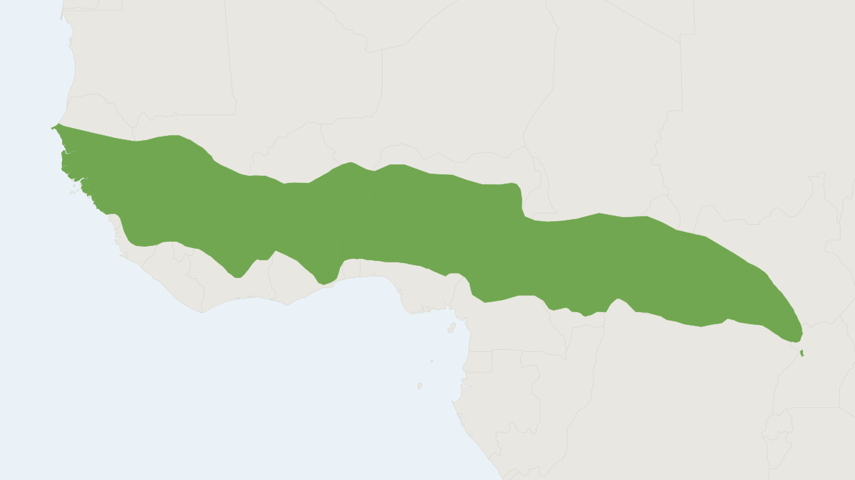 Range map of the Red-flanked Duiker (Cephalophus rufilatus) covering Burkina Faso, Cameroon and Central African Republic