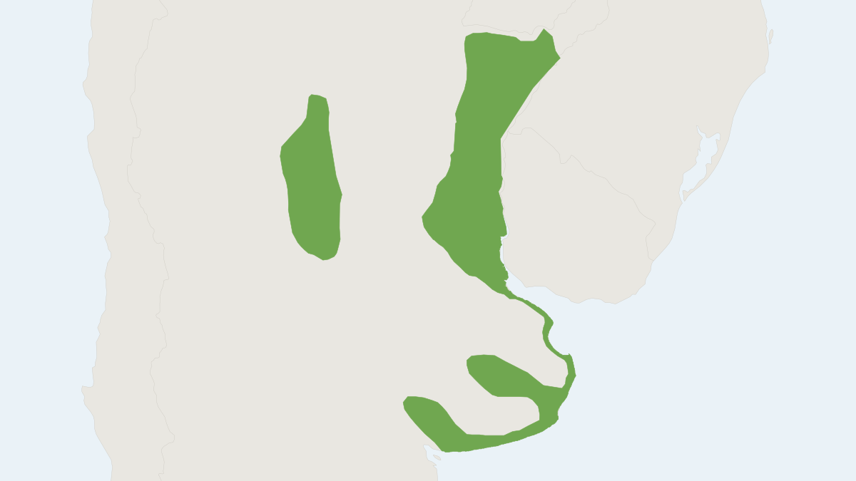 Range map of the Red Hocicudo (Oxymycterus rufus)