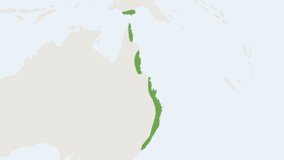 Range map of the Red-legged Pademelon (Thylogale stigmatica)