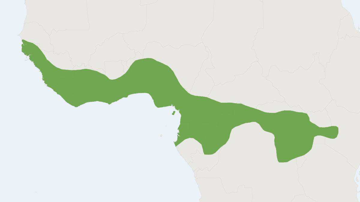 Range map of the Red-legged Sun Squirrel (Heliosciurus rufobrachium)