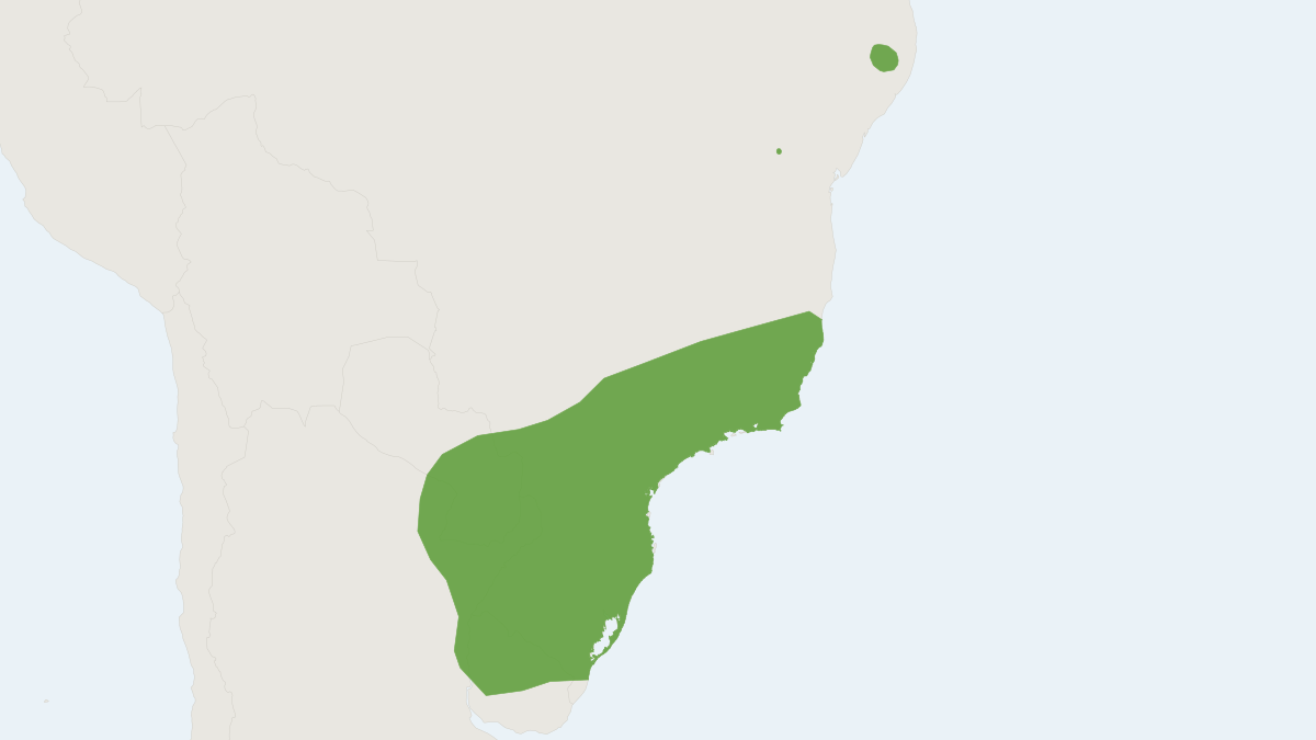 Range map of the Red Myotis (Myotis ruber)