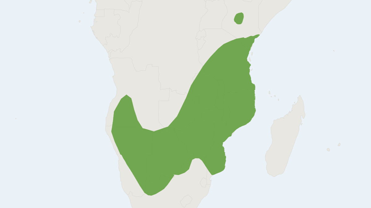Range map of the Red Rock Rat (Aethomys chrysophilus) covering Botswana, Malawi and Mozambique