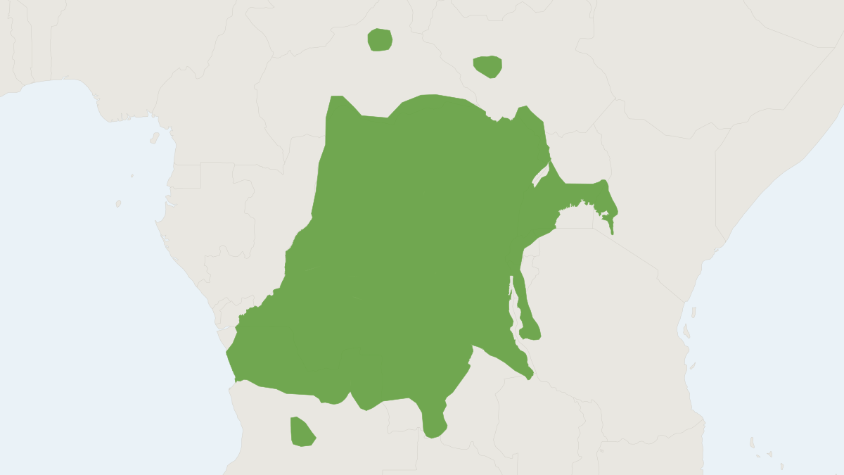 Range map of the Red-tailed Monkey (Cercopithecus ascanius) covering Burundi, Central African Republic and Democratic Republi