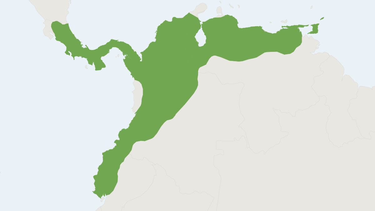 Range map of the Red-tailed Squirrel (Sciurus granatensis)
