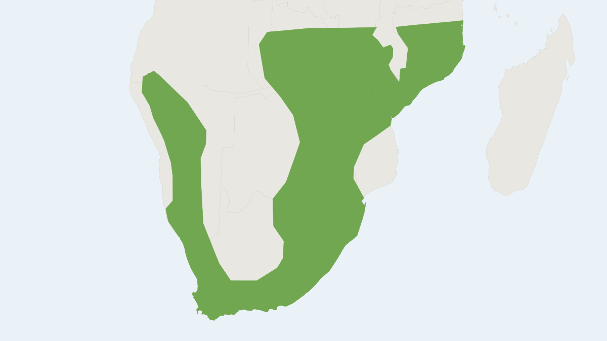 Range map of the Reddish-grey White-toothed Shrew (Crocidura cyanea)