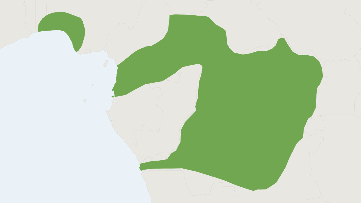 Range map of the Redness Tree Squirrel (Funisciurus anerythrus)