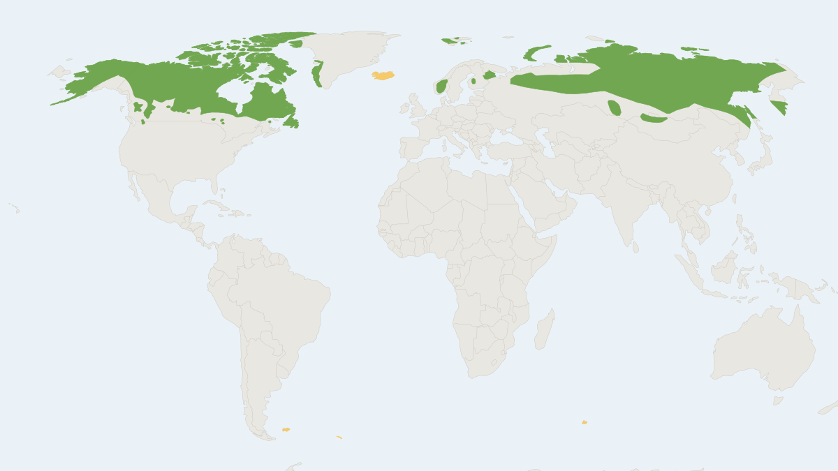 Range map of the Reindeer (Rangifer tarandus) covering Canada, Finland and Mongolia