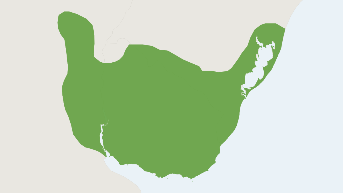 Range map of the Reithrodon typicus (Reithrodon typicus)