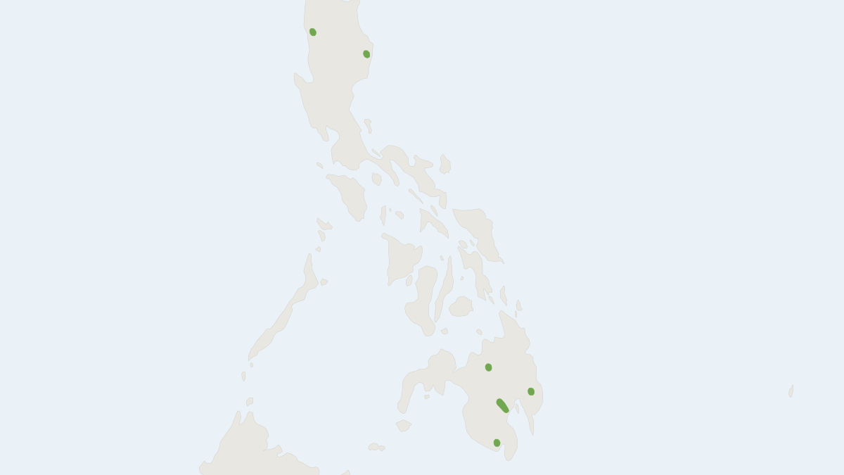 Range map of the Rickart's Dyak Fruit Bat (Dyacopterus rickarti)