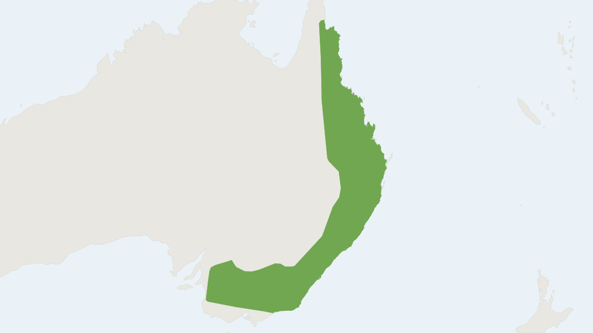 Range map of the Ride’s Free-tailed Bat (Ozimops ridei)