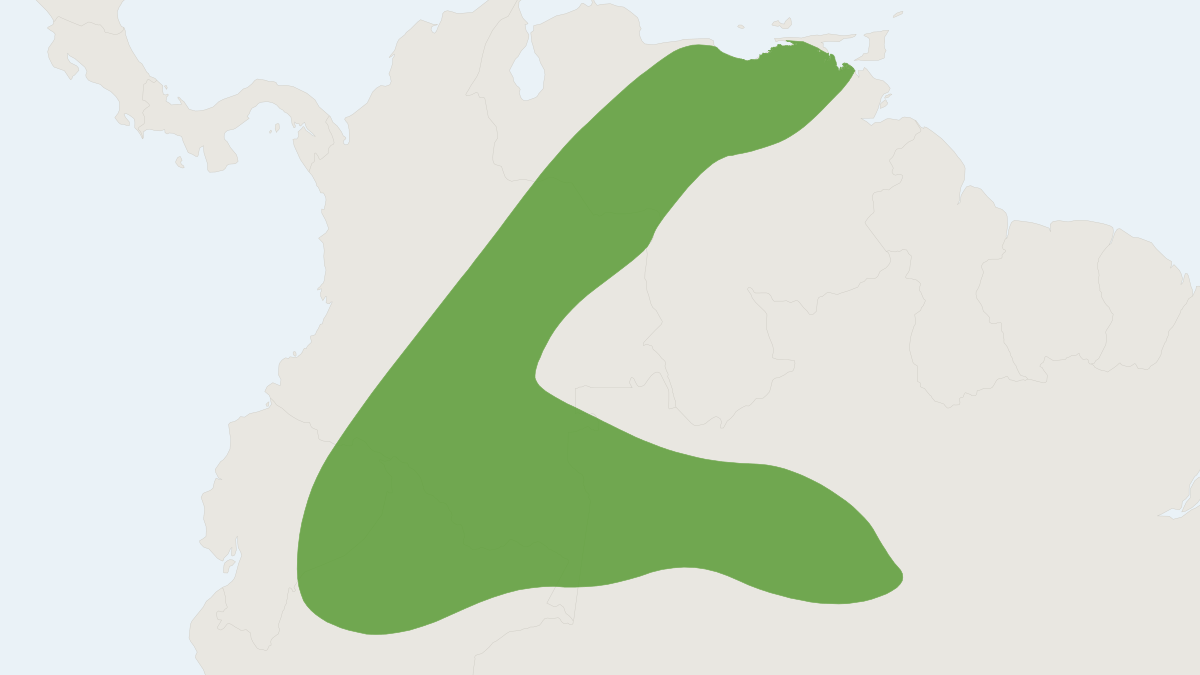 Range map of the Rio Negro Silky Anteater (Cyclopes ida)
