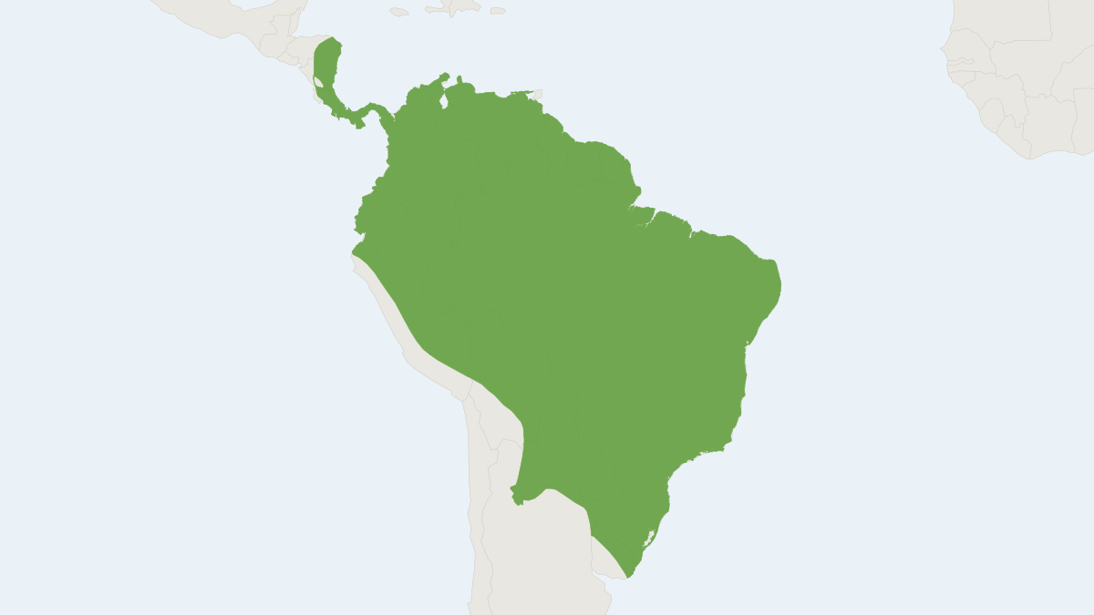 Range map of the Riparian Myotis (Myotis riparius)