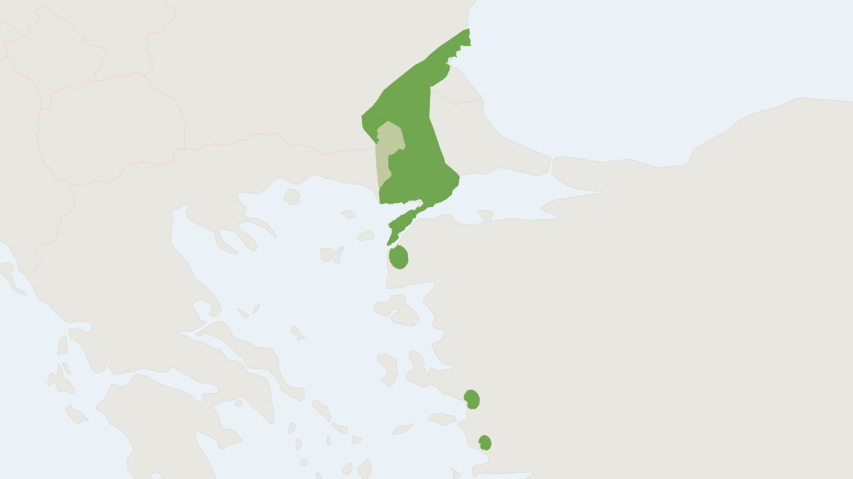 Range map of the Roach's Mouse-tailed Dormouse (Myomimus roachi)