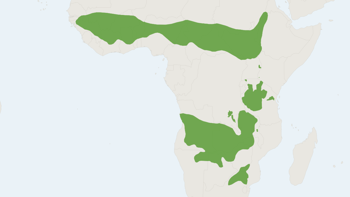 Range map of the Roan Antelope (Hippotragus equinus)