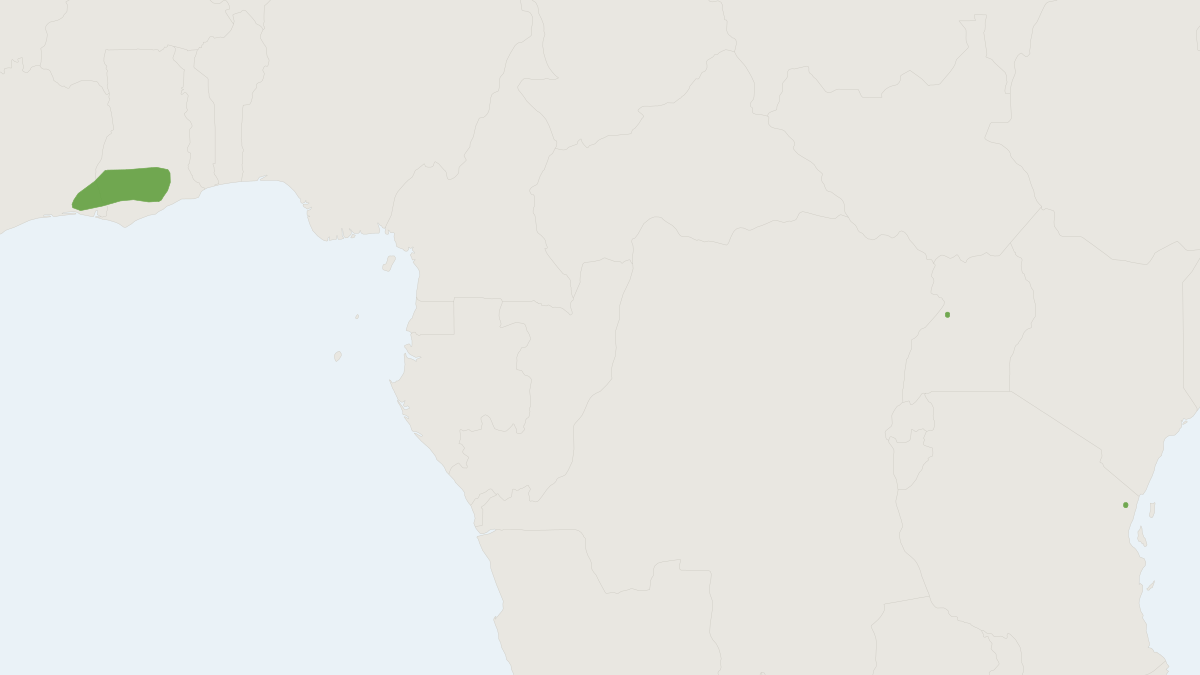 Range map of the Robbins's House Bat (Scotophilus nucella)