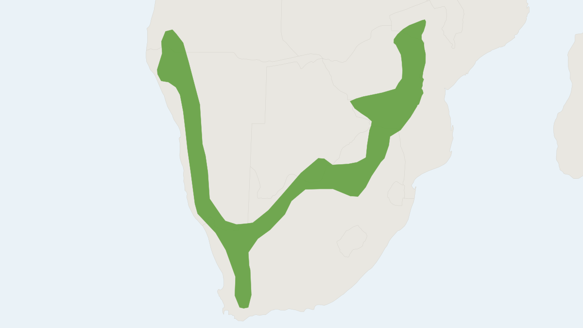 Range map of the Roberts's Flat-headed Bat (Sauromys petrophilus)