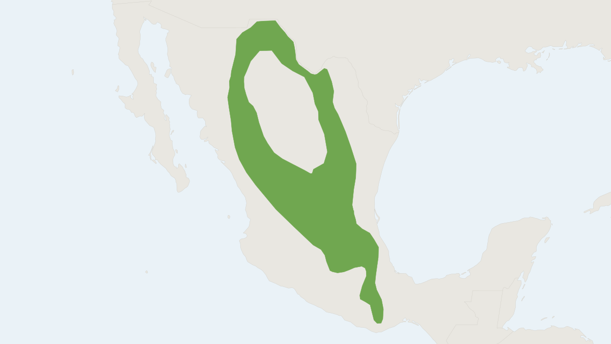 Range map of the Rock Mouse (Peromyscus difficilis)