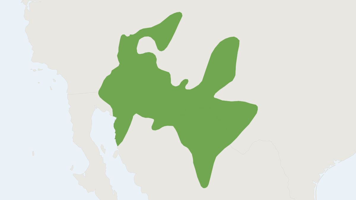 Range map of the Rock Pocket Mouse (Chaetodipus intermedius) covering Mexico and United States