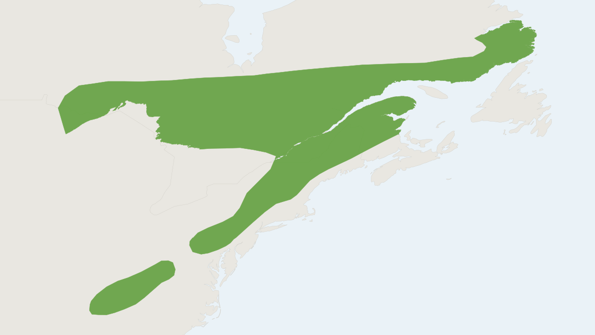 Range map of the Rock Vole (Microtus chrotorrhinus)