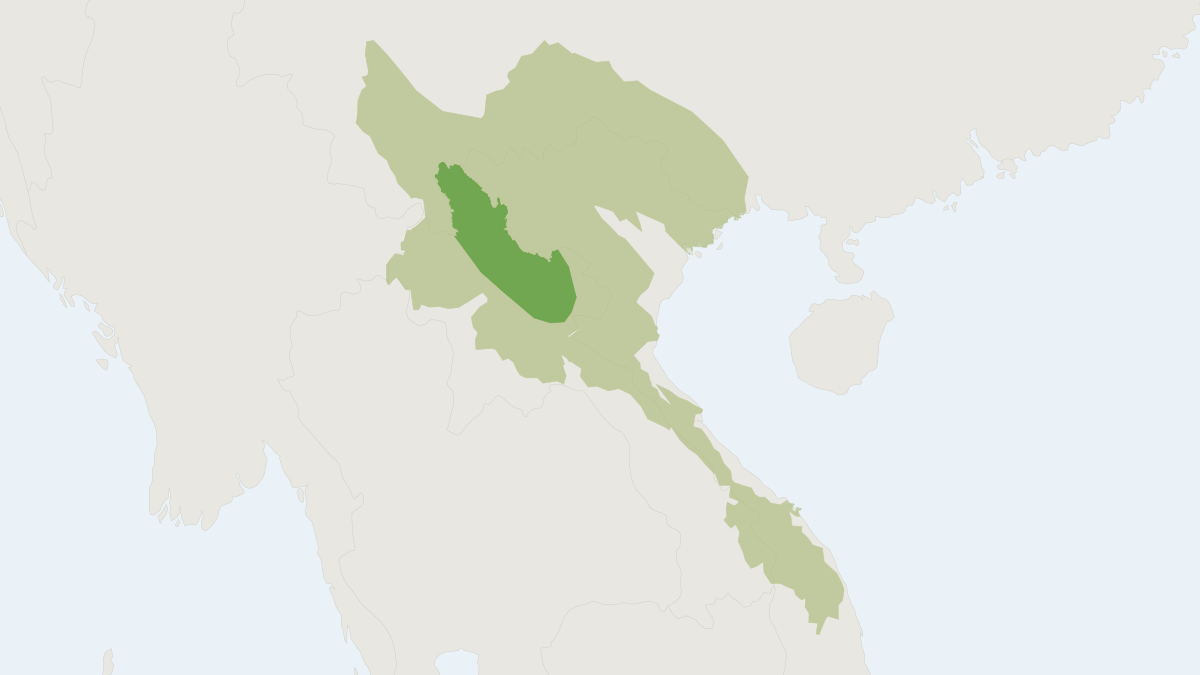 Range map of the Roosevelts' Muntjac (Muntiacus rooseveltorum)