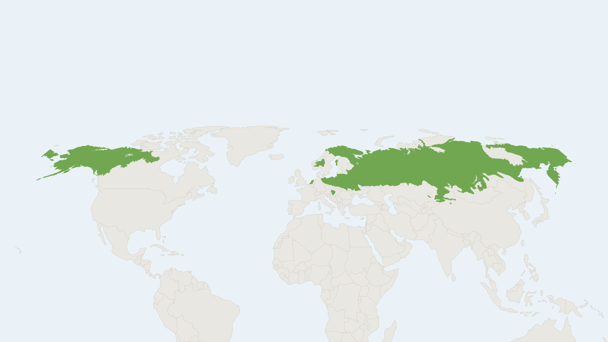 Range map of the Root Vole (Alexandromys oeconomus)