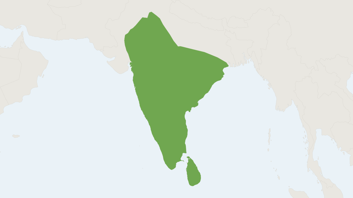Range map of the Ruddy Mongoose (Urva smithii)