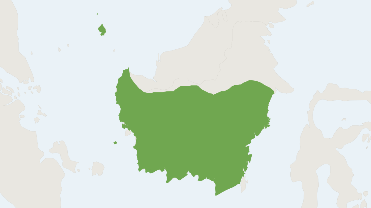 Range map of the Ruddy Treeshrew (Tupaia splendidula)