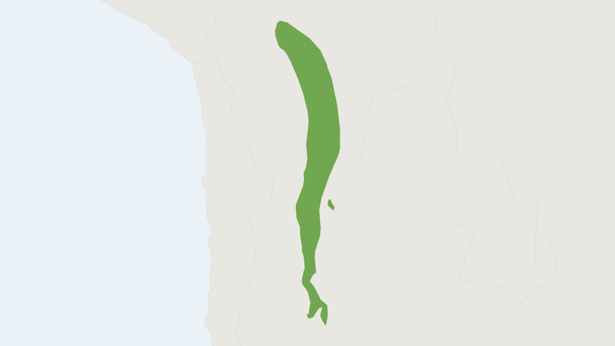 Range map of the Rufous-bellied Bolo Mouse (Necromys lactens) covering Argentina, Bolivia and Peru