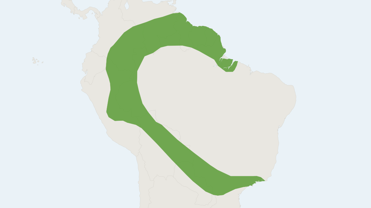 Range map of the Rufous Dog-faced Bat (Molossops neglectus)