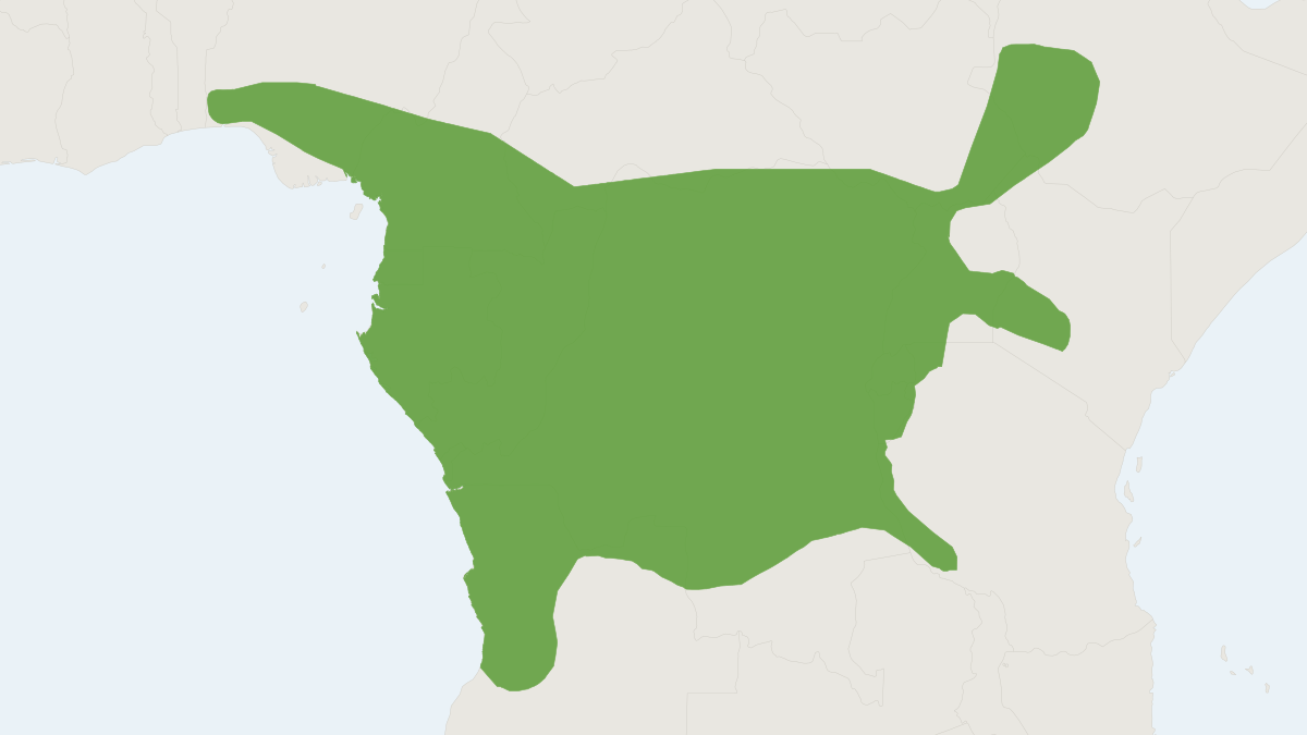 Range map of the Rufous-nosed Rat (Oenomys hypoxanthus)