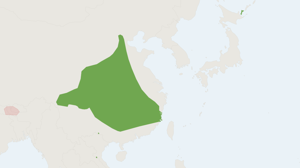Range map of the Rufous Tube-nosed Bat (Murina leucogaster)