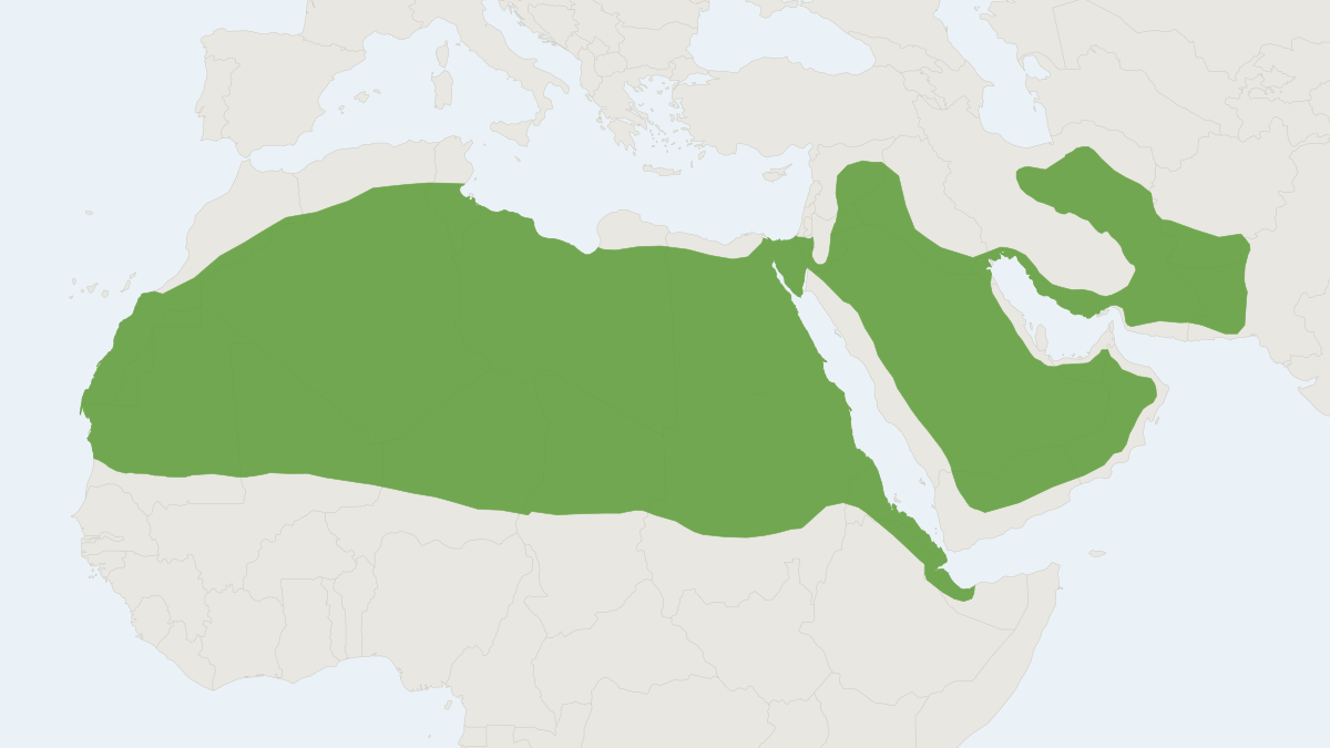 Range map of the Rüppell's Fox (Vulpes rueppellii)
