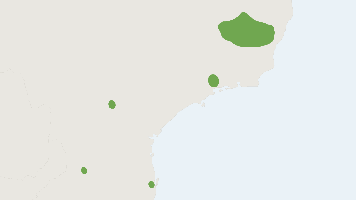 Range map of the Ruschi's Rat (Abrawayaomys ruschii)