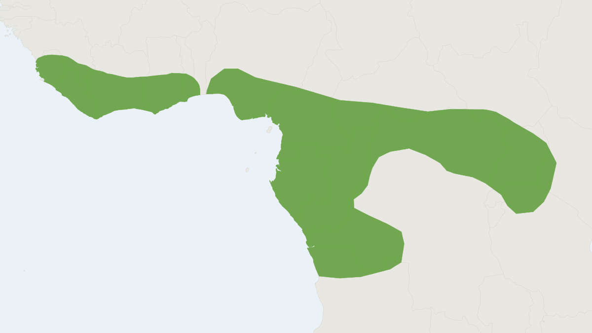 Range map of the Rusty-bellied Brush-furred Rat (Lophuromys sikapusi)