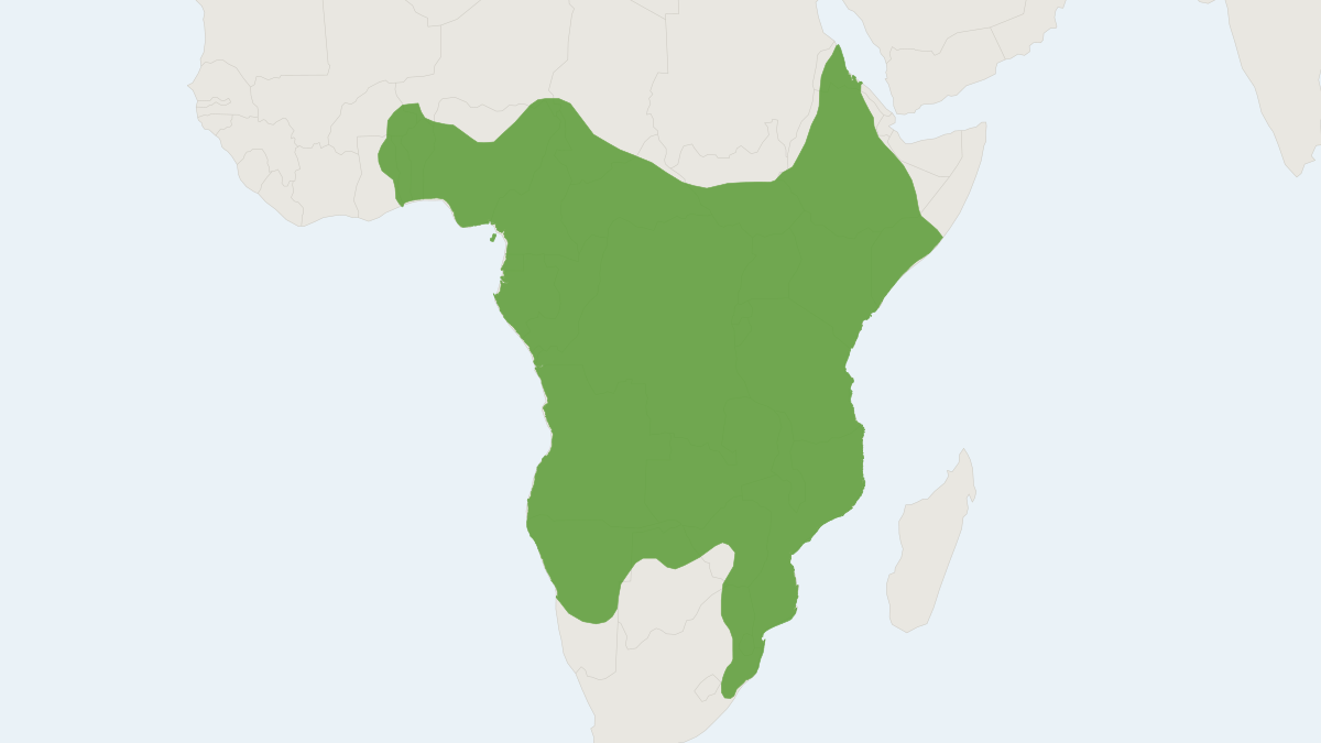 Range map of the Rusty-spotted Genet (Genetta fieldiana)