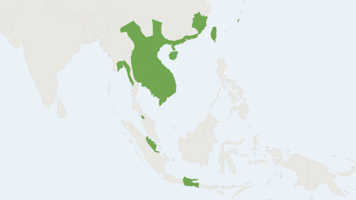 Range map of the Ryukyu Mouse (Mus caroli)