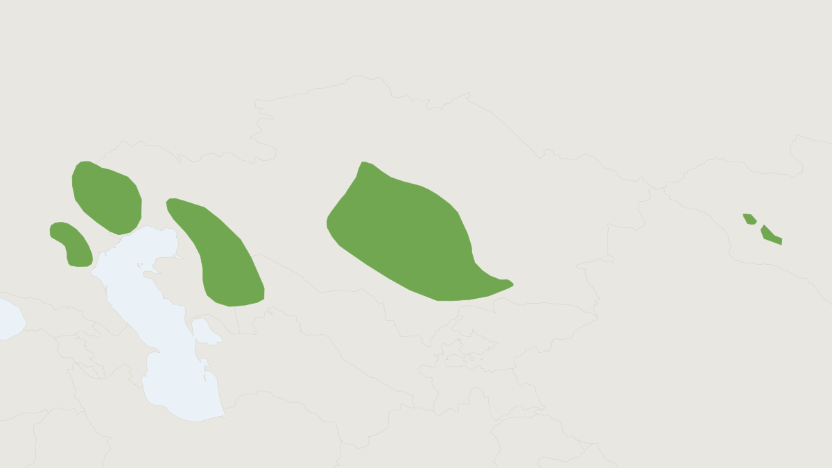 Range map of the Saiga (Saiga tatarica) covering Kazakhstan, Mongolia and Russia