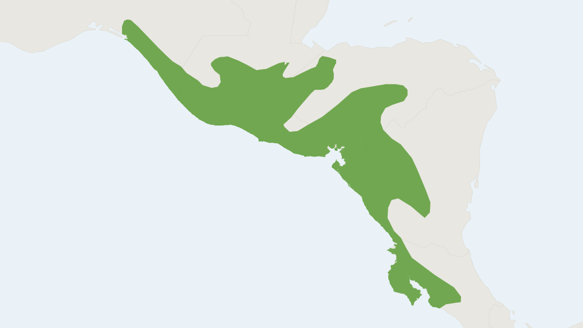 Range map of the Salvin's Spiny Pocket Mouse (Heteromys salvini)