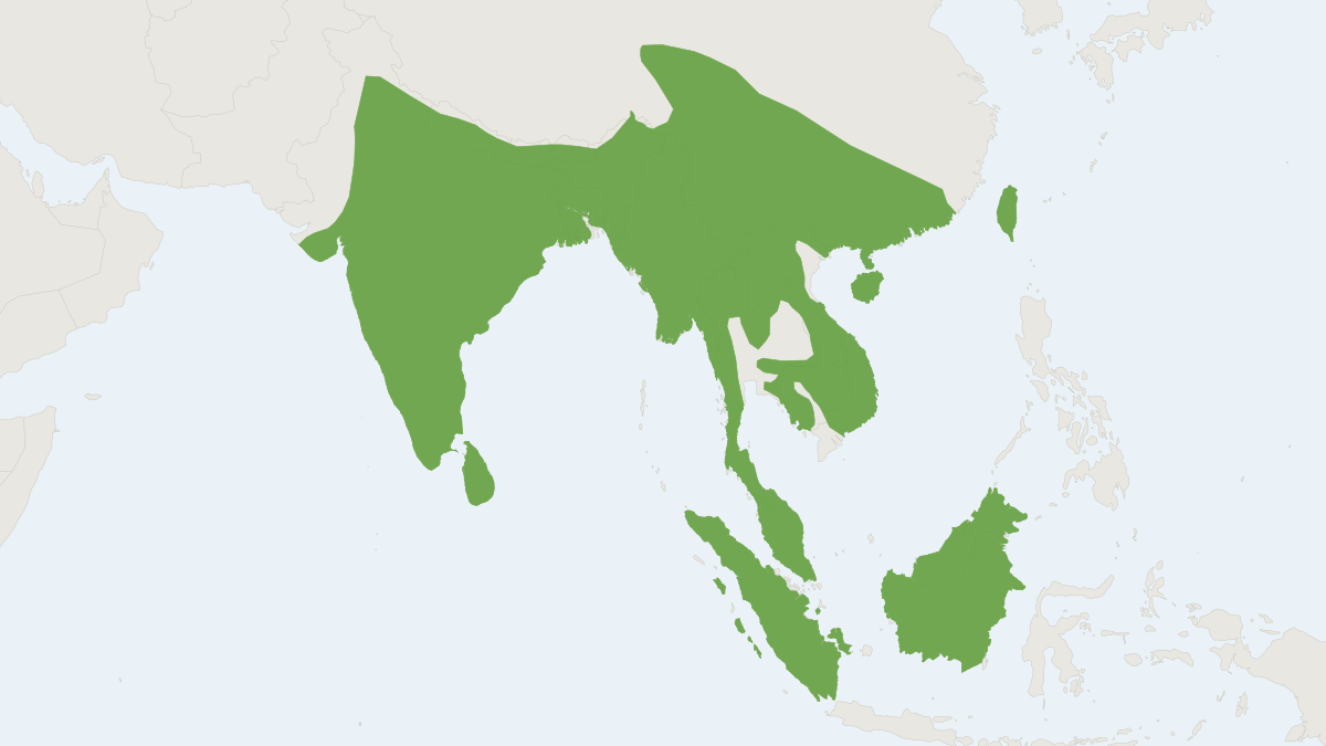 Range map of the Sambar (Rusa unicolor) covering Australia, Bhutan and Cambodia