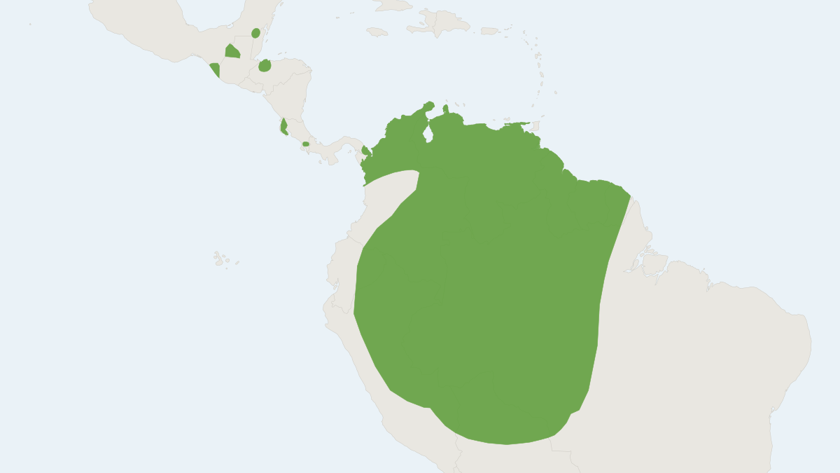 Range map of the Sanborn's Bonneted Bat (Eumops hansae)