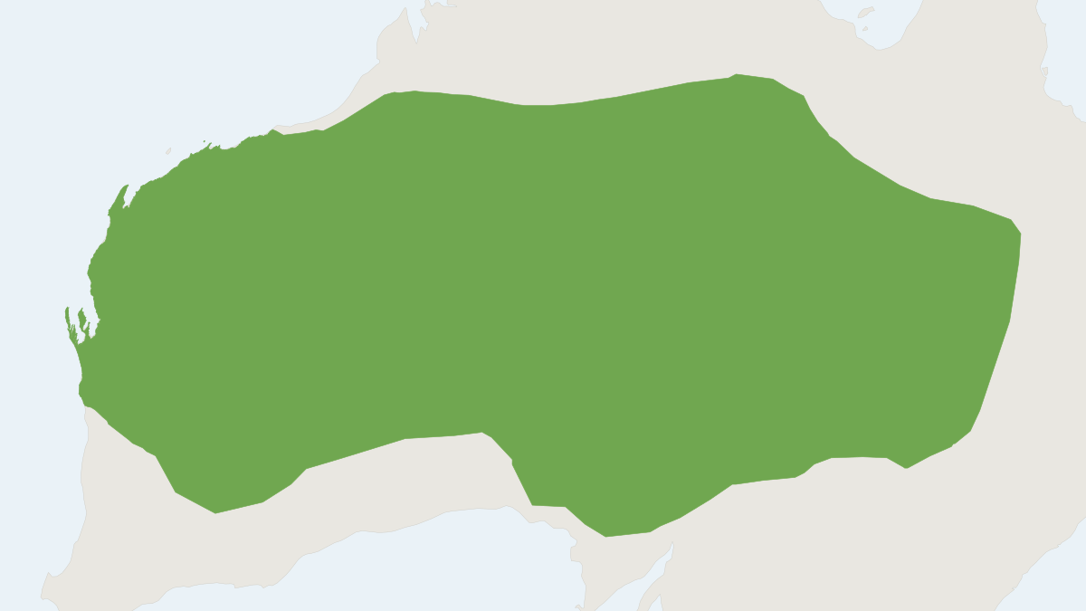 Range map of the Sandy Inland Mouse (Pseudomys hermannsburgensis)